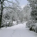 Quinta Dos Carvalhais - Serra Da Estrela *