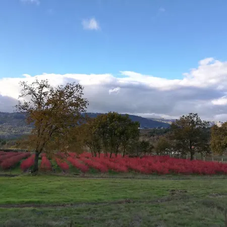 Quinta Dos Carvalhais - Serra Da Estrela Agroturismo