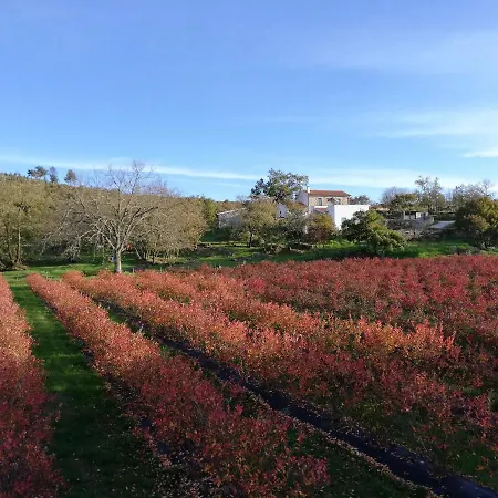 Quinta Dos Carvalhais - Serra Da Estrela * فورنوس دي ألجودريس