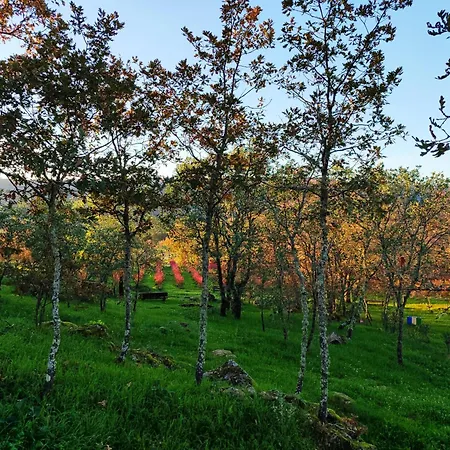 Quinta Dos Carvalhais - Serra Da Estrela * Fornos de Algodres