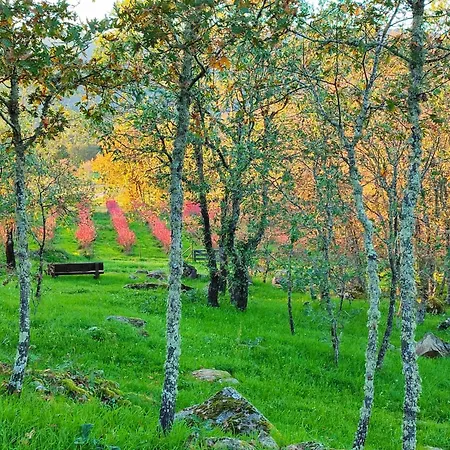 Quinta Dos Carvalhais - Serra Da Estrela Fornos de Algodres