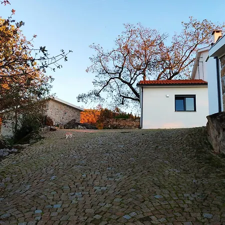Quinta Dos Carvalhais - Serra Da Estrela *