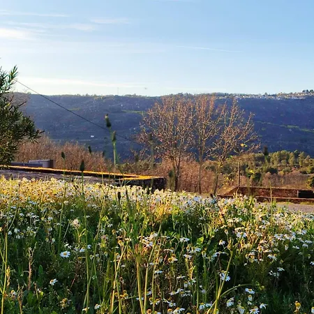 مزرعة للإقامة Quinta Dos Carvalhais - Serra Da Estrela فورنوس دي ألجودريس