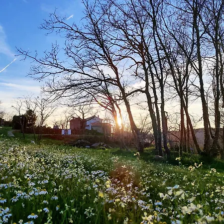 Agroturismo Quinta Dos Carvalhais - Serra Da Estrela