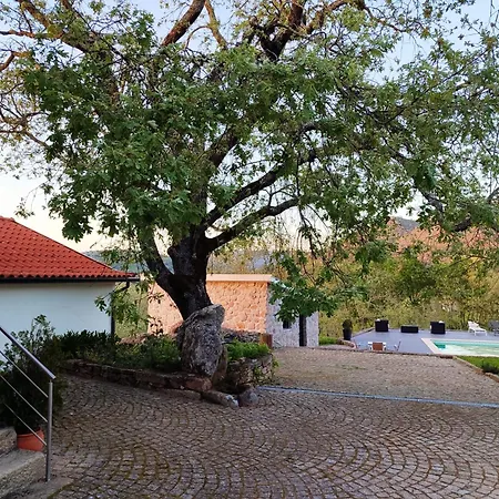 Agroturismo Quinta Dos Carvalhais - Serra Da Estrela *