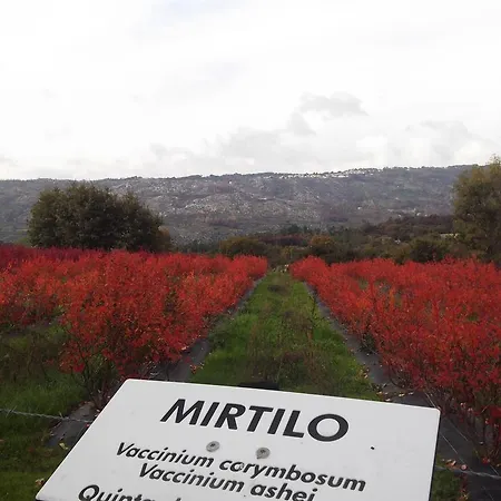 Quinta Dos Carvalhais - Serra Da Estrela