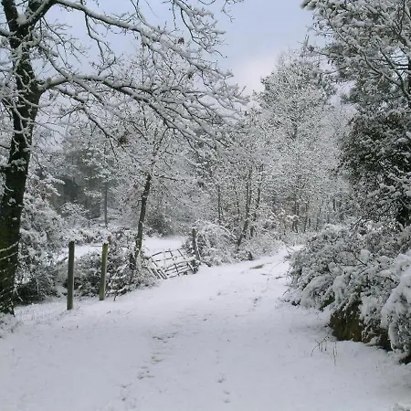Quinta Dos Carvalhais - Serra Da Estrela *