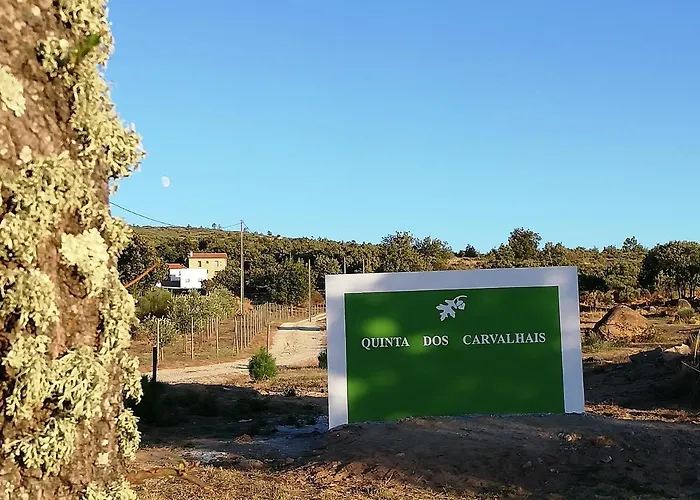 Quinta Dos Carvalhais - Serra Da Estrela פורנוס דה אלגודרס