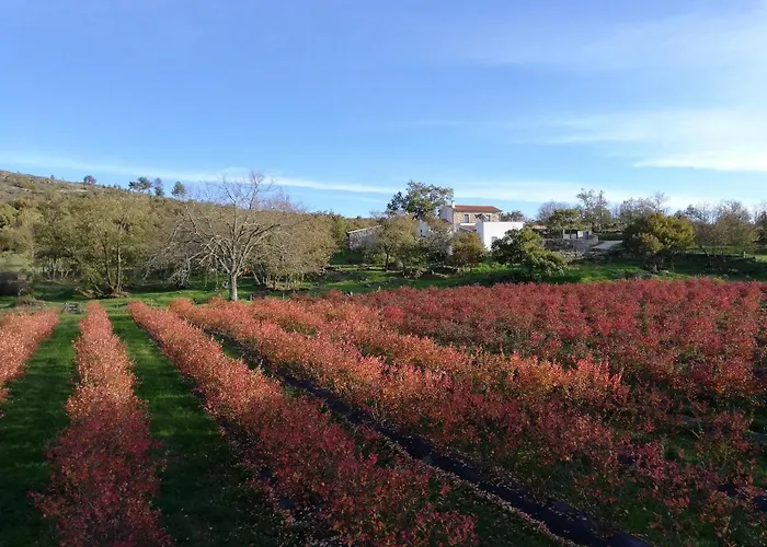 Quinta Dos Carvalhais - Serra Da Estrela * פורנוס דה אלגודרס