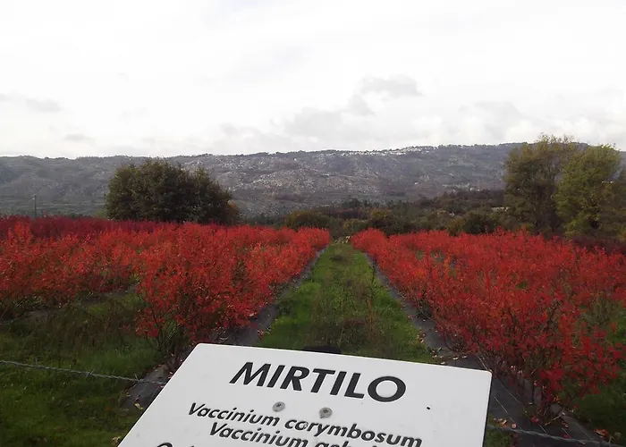Quinta Dos Carvalhais - Serra Da Estrela