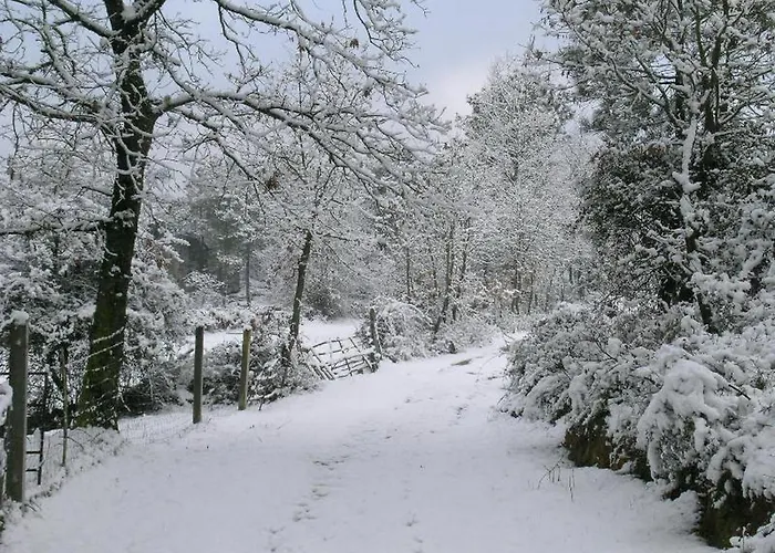 Quinta Dos Carvalhais - Serra Da Estrela *
